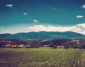 怎么去攻击一个网站与防护